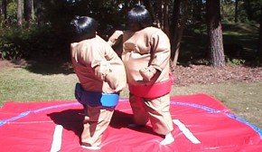 Sumo Wrestling 